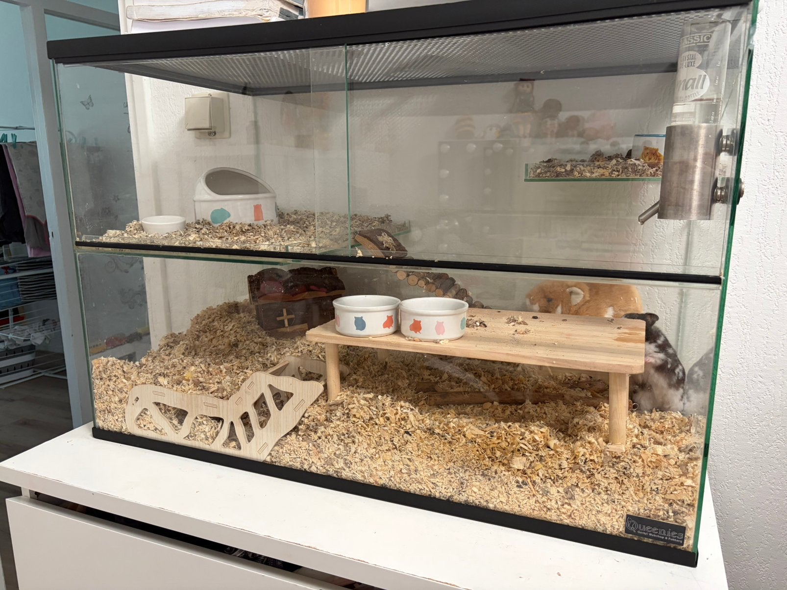Hamster+ alle benodigheden, Ophalen, Kooi, Zo goed als nieuw, 90 cm of meer