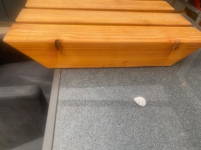 4 x douglas schoren 14,5 x 14,5, Tuin en Terras, Overkappingen, Ophalen, Nieuw, Overige typen