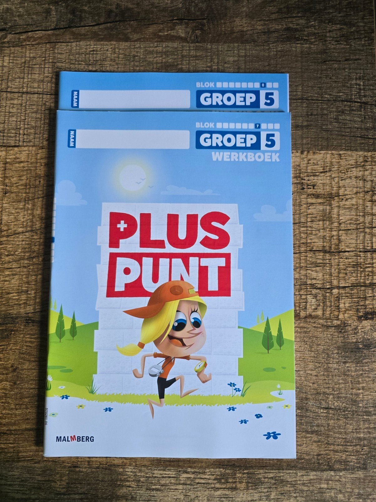 Pluspunt Groep 5 Werkboek Blok 7 en 8, Boeken, Wiskunde A, Malmberg, Nieuw, Ophalen of Verzenden