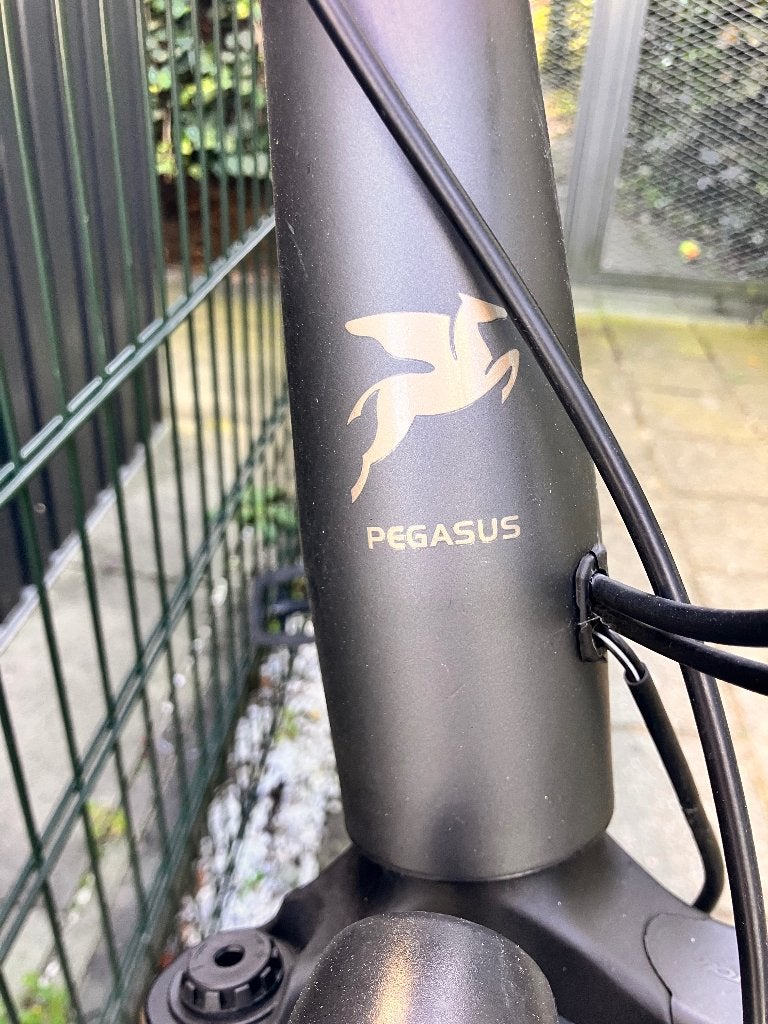 Pegasus Premio SL Belt 8 – riemaandrijving  8 versnellingen, Fietsen en Brommers, Versnellingen, Zo goed als nieuw, Schijfrem