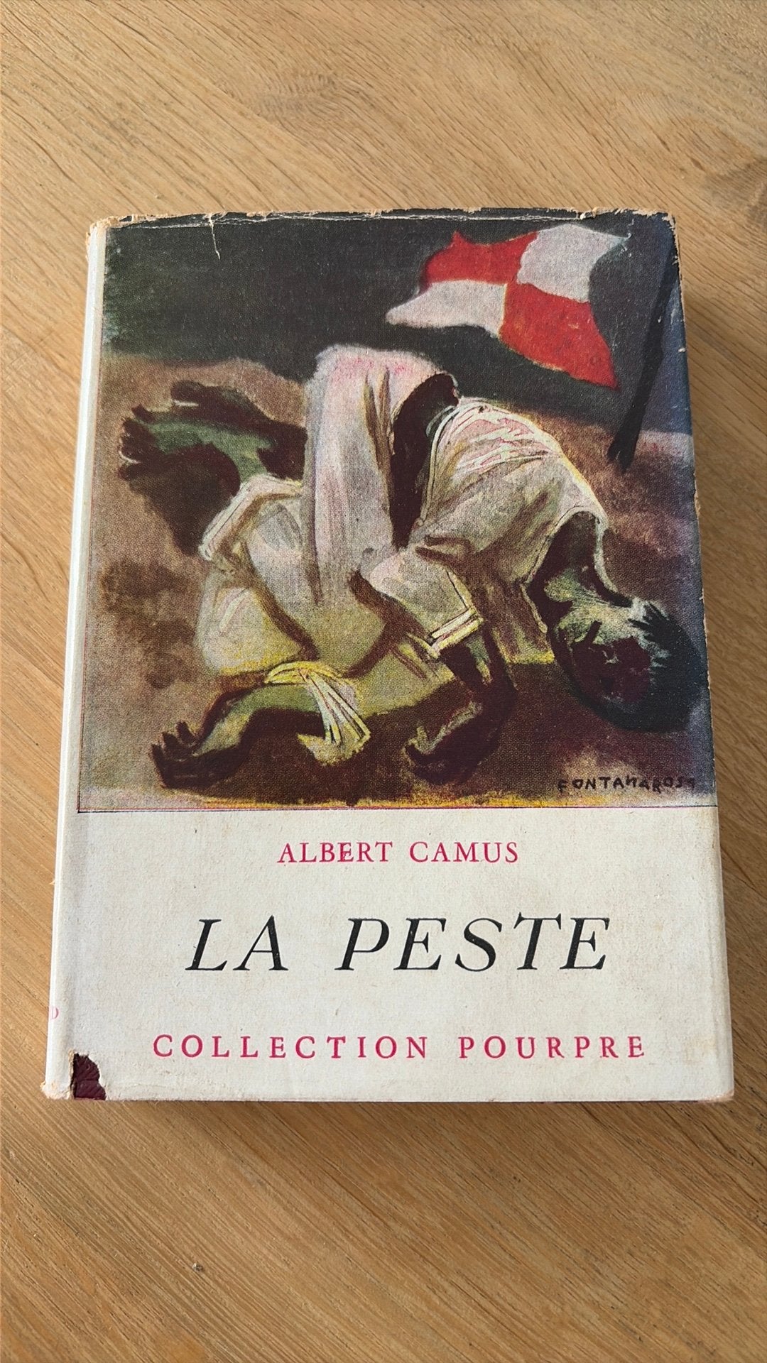 La Peste - Albert Camus, Boeken, Ophalen of Verzenden, Gelezen, Europa overig