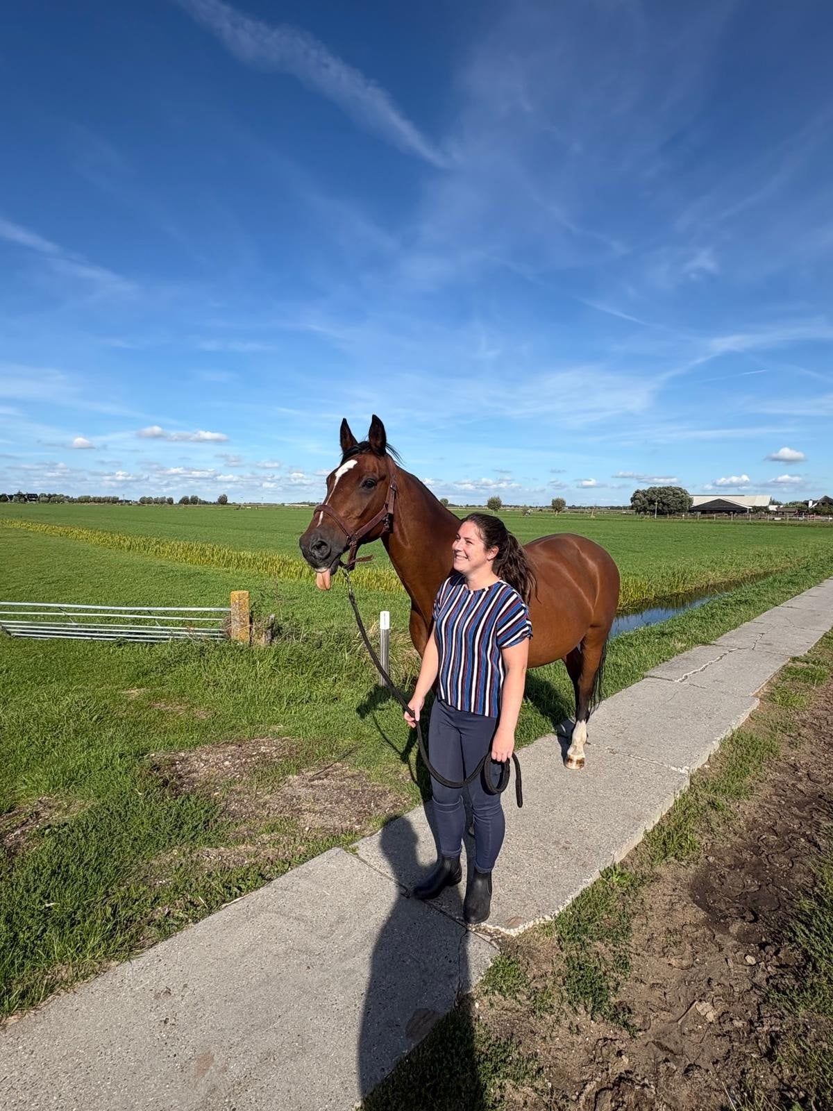 verzorger gezocht - castricum, Dieren en Toebehoren