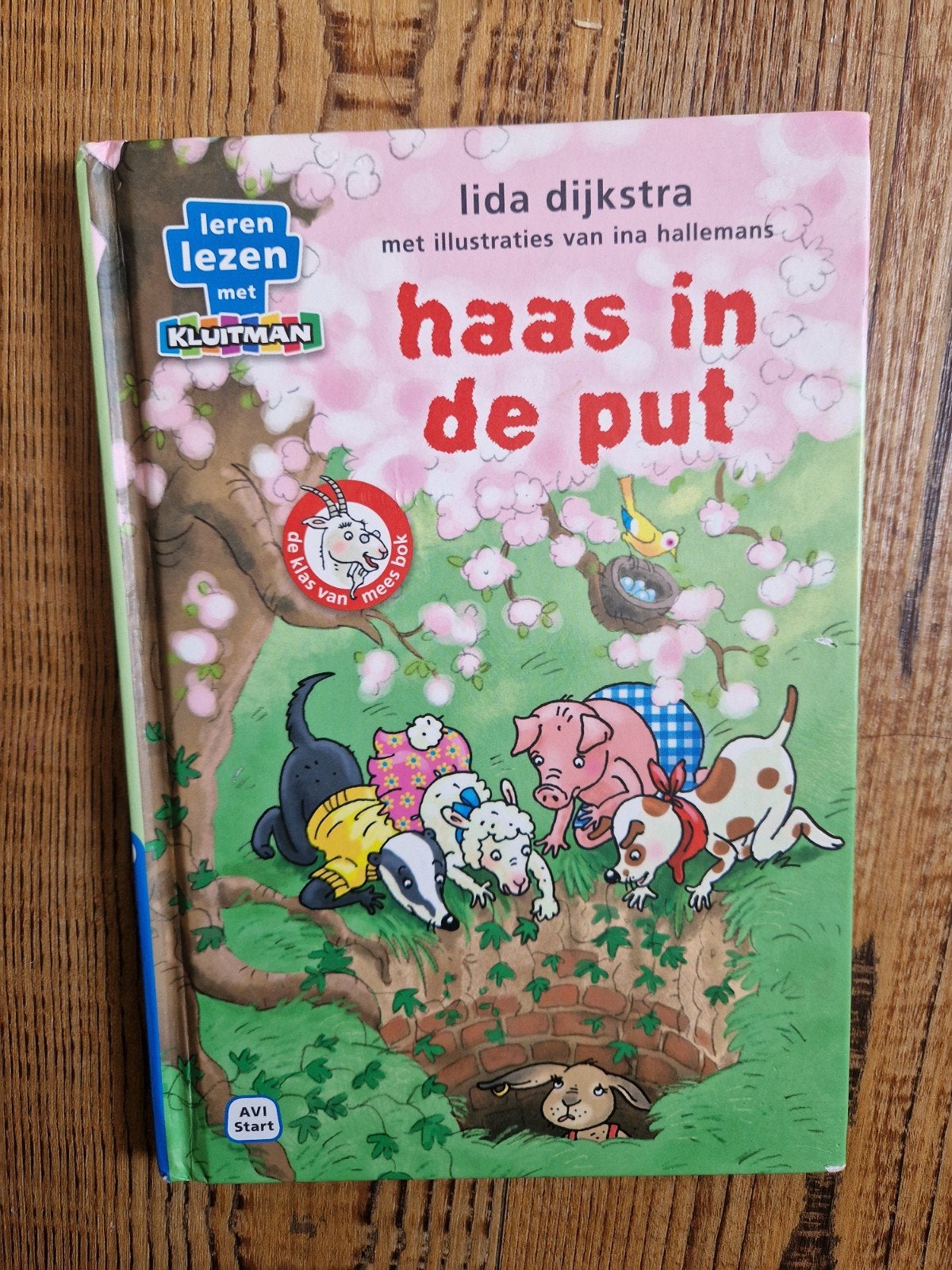 Haas in de put - Lida Dijkstra (Leren lezen met Kluitman), Ophalen, Zo goed als nieuw, Lida Dijkstra, 6 tot 12 maanden