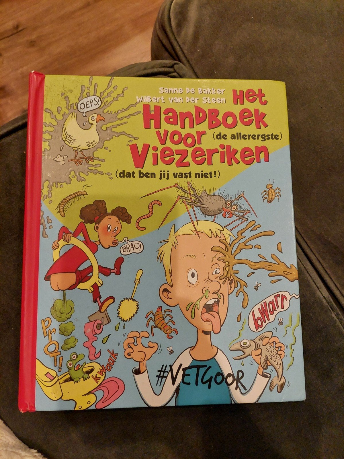 Het Handboek voor (de allerergste) Viezeriken, Ophalen of Verzenden, Gelezen, Sanne de Bakker, Non-fictie