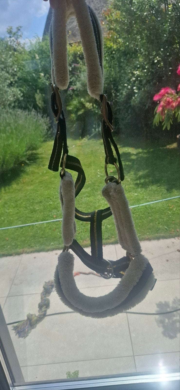 Horsegear halster maat cop, Dieren en Toebehoren, Ophalen of Verzenden, Horsegear, Halster