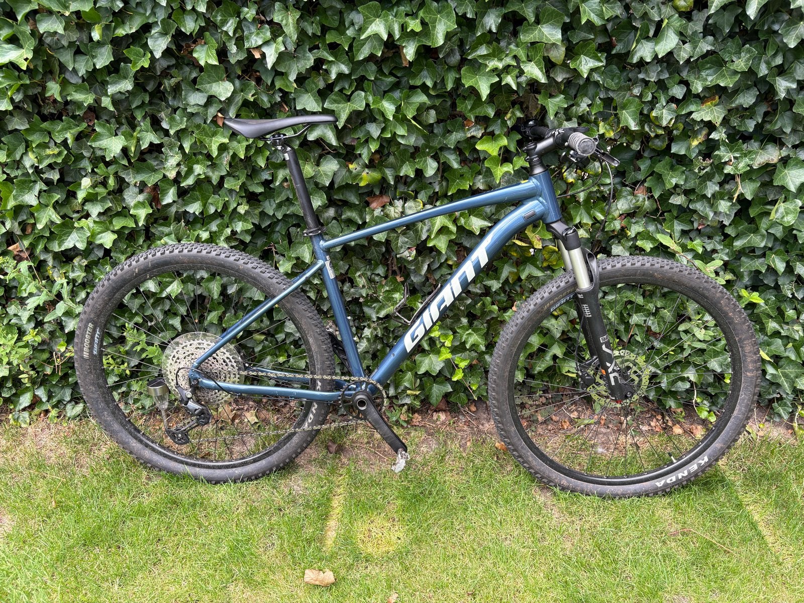 Giant Talon Mountainbike Maat L, Ophalen, Hardtail, Heren, 49 tot 53 cm