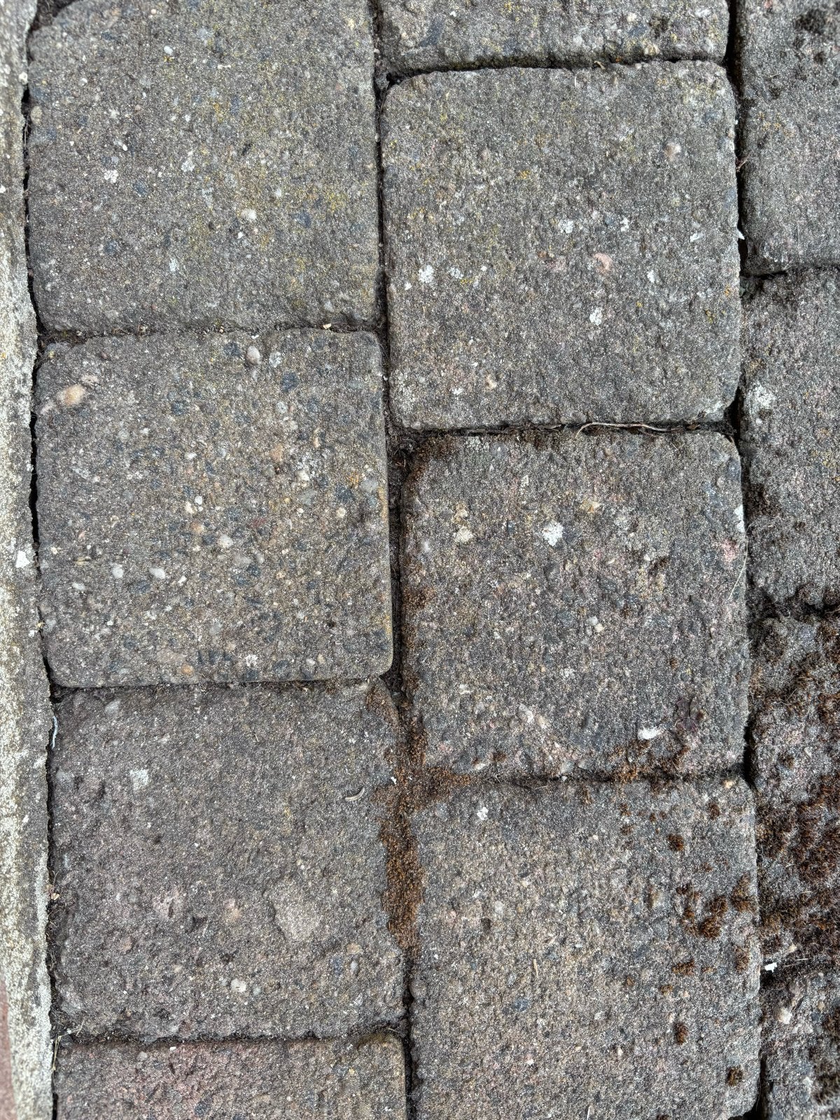 Gebruikte betonnen klinkers voor oprit of terras, Tuin en Terras, Ophalen, Gebruikt, Klinkers, 10 m² of meer