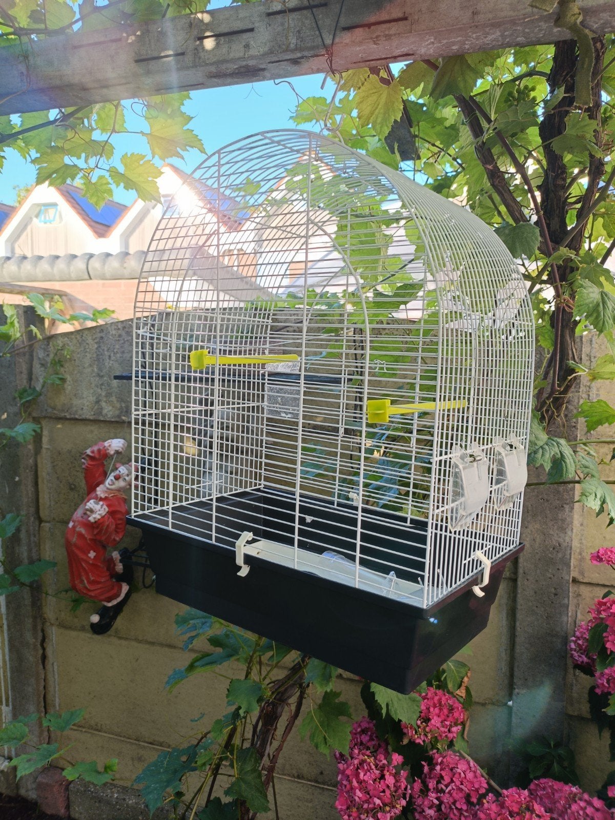 Kooi, Ophalen of Verzenden, Zo goed als nieuw, Metaal, Vogelkooi