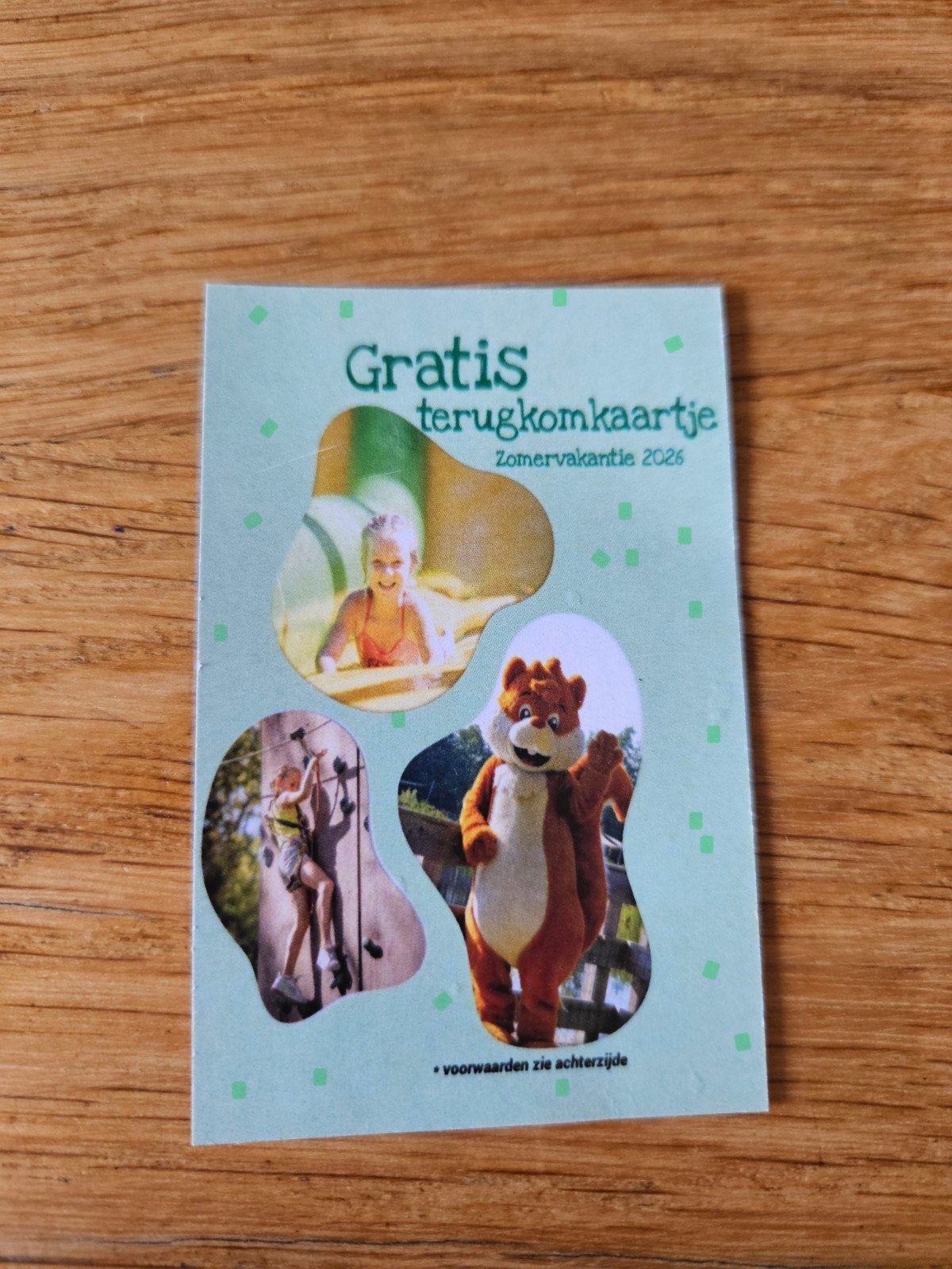 gratis entree duinoord, Eén persoon, Ticket of Toegangskaart