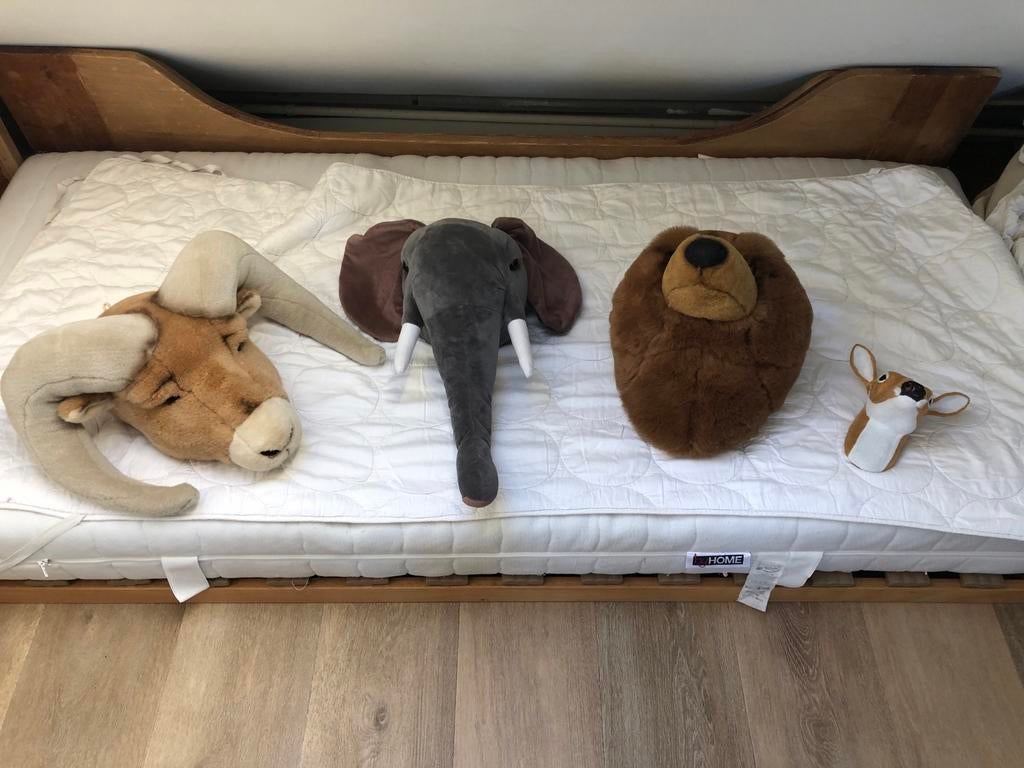 Dierenkoppen wanddecoratie, Ophalen of Verzenden, Zo goed als nieuw