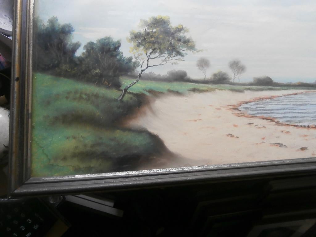 Leuk schilderijtje Bebossing, strandje en watertje, Antiek en Kunst, Kunst | Schilderijen | Klassiek, Ophalen of Verzenden