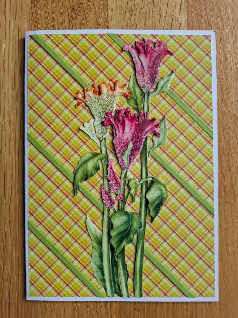 Zelfgemaakte kaart met hanekam bloem, Ophalen of Verzenden, Nieuw