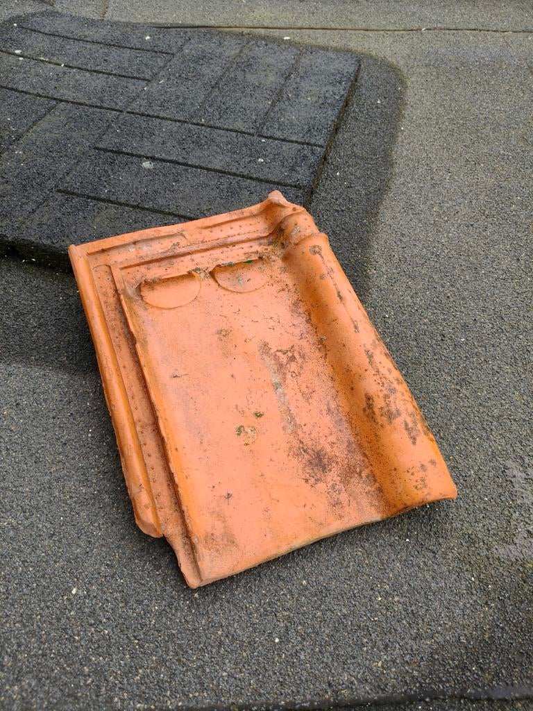 Sterreberg Courtrai dakpannen Tuile du Nord, Ophalen, Gebruikt, Steen of Klei, 15 m² of meer