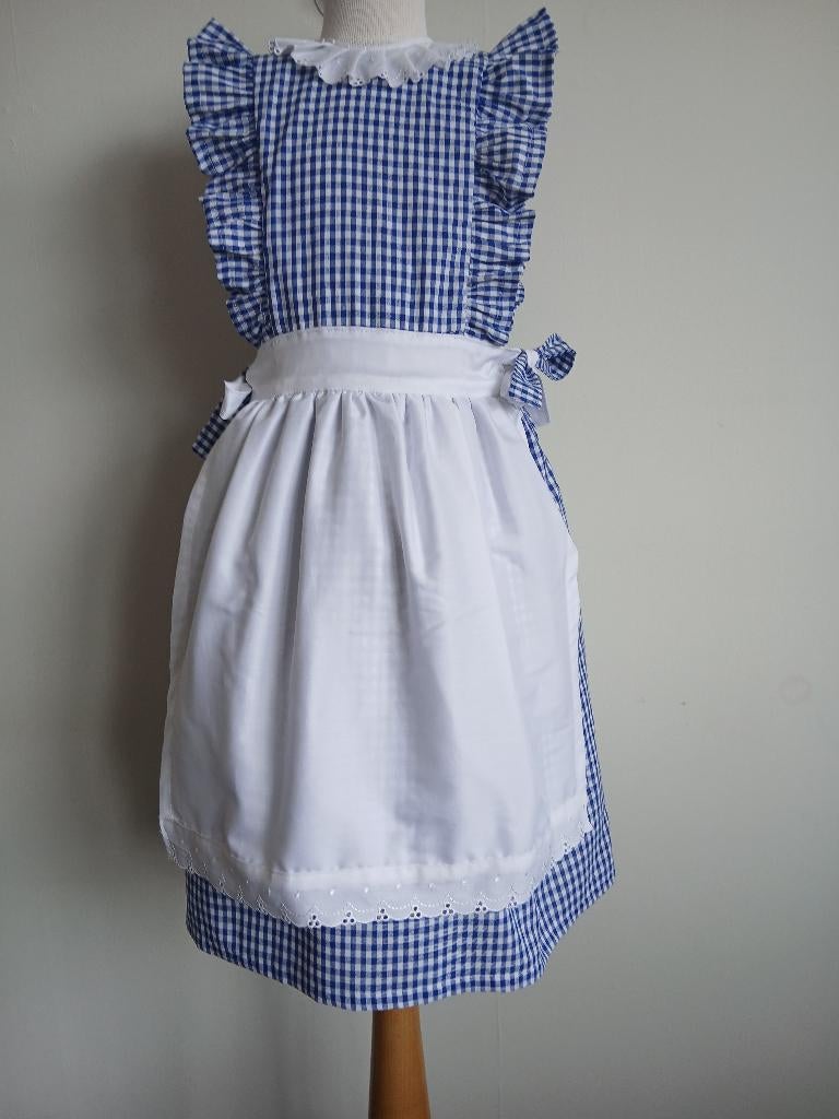 Ot en Sien jurkje maat 164 Blauw verzenden, Kinderen en Baby's, Carnavalskleding en Verkleedspullen, Verzenden, Nieuw, 158 t/m 164