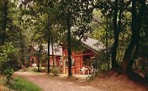 Bungalow te huur op Landal het Roekbosch in Limburg, Vakantie, Vakantiehuizen | Nederland, Tv, 2 slaapkamers, Limburg, Recreatiepark
