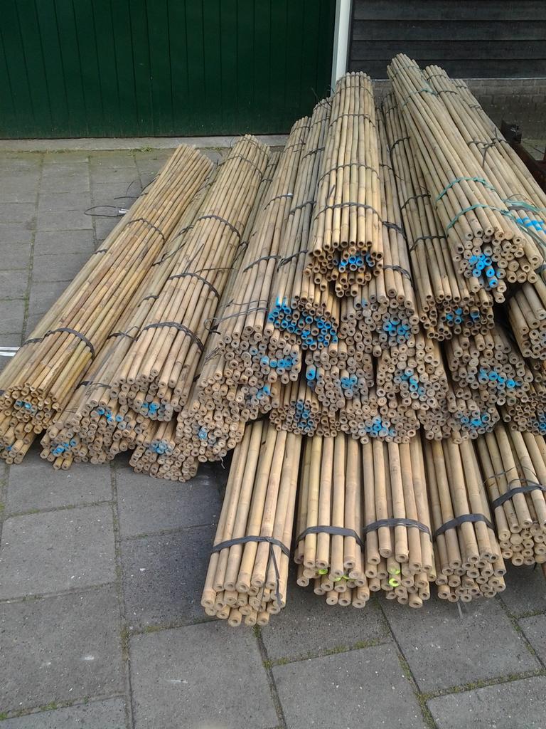 Bamboepalen bamboestokken tonkin bonenstaken plantensteun, Ophalen of Verzenden, Nieuw, Overige typen