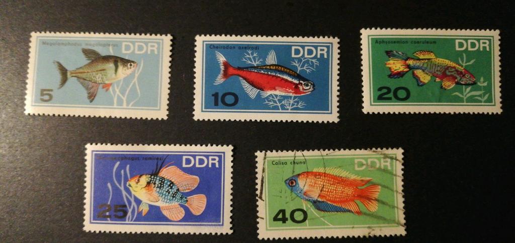 DDR 1966 Michel 1221, 1222, 1224 tm 1226, Ophalen of Verzenden, DDR