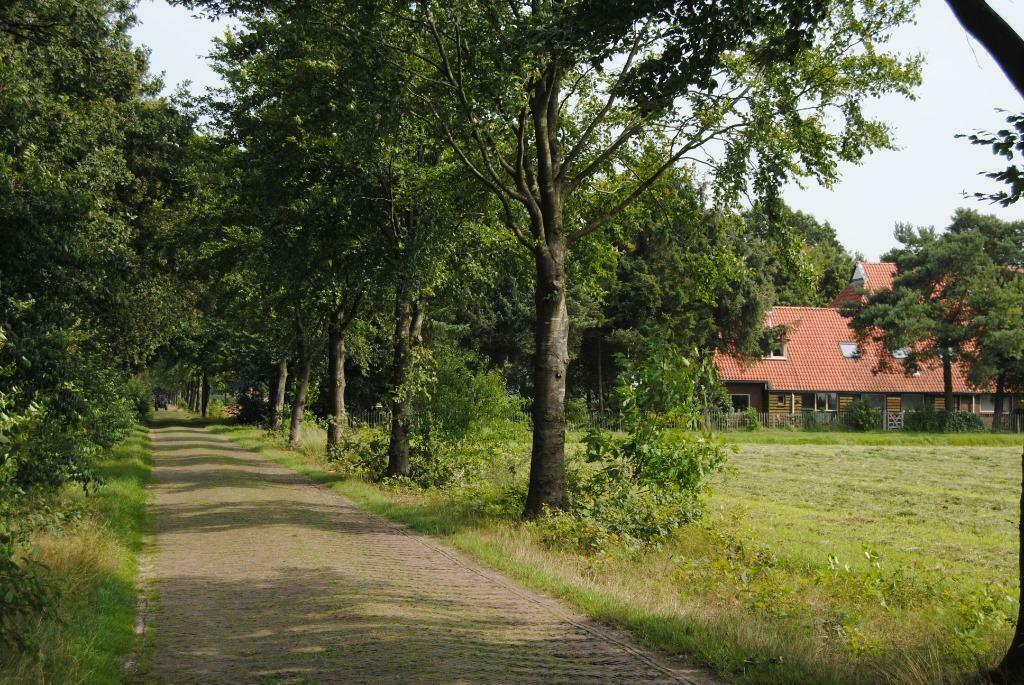 Heerlijke woonboerderij (4-14 pers.) in Drents Friese Woud, 12 personen, 4 of meer slaapkamers, In bos, Open haard