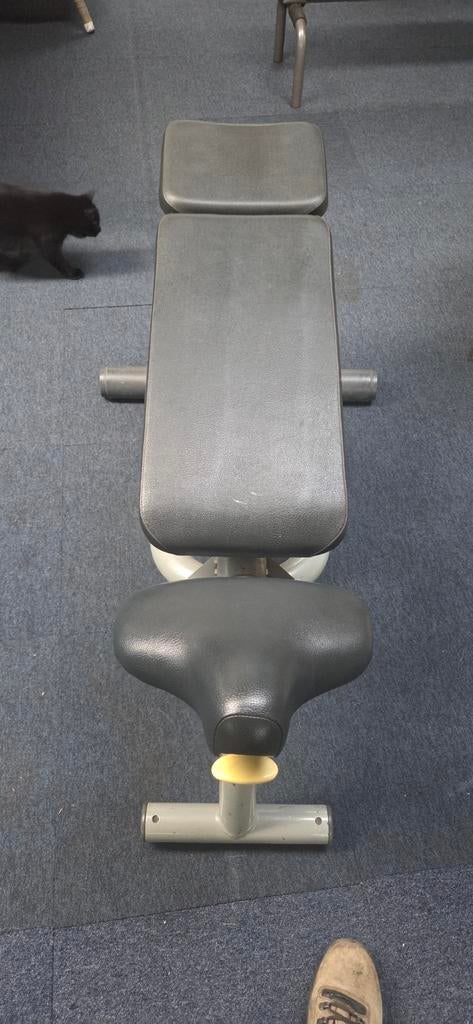Technogym Bankje - Fitness Bank, Ophalen, Gebruikt, Krachtstation, Metaal
