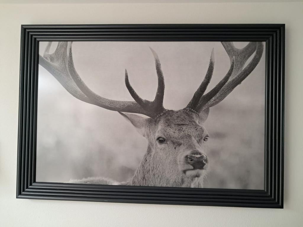 Super groot  wanddoek in lijst, Ophalen of Verzenden, Schilderij, 75 cm of meer