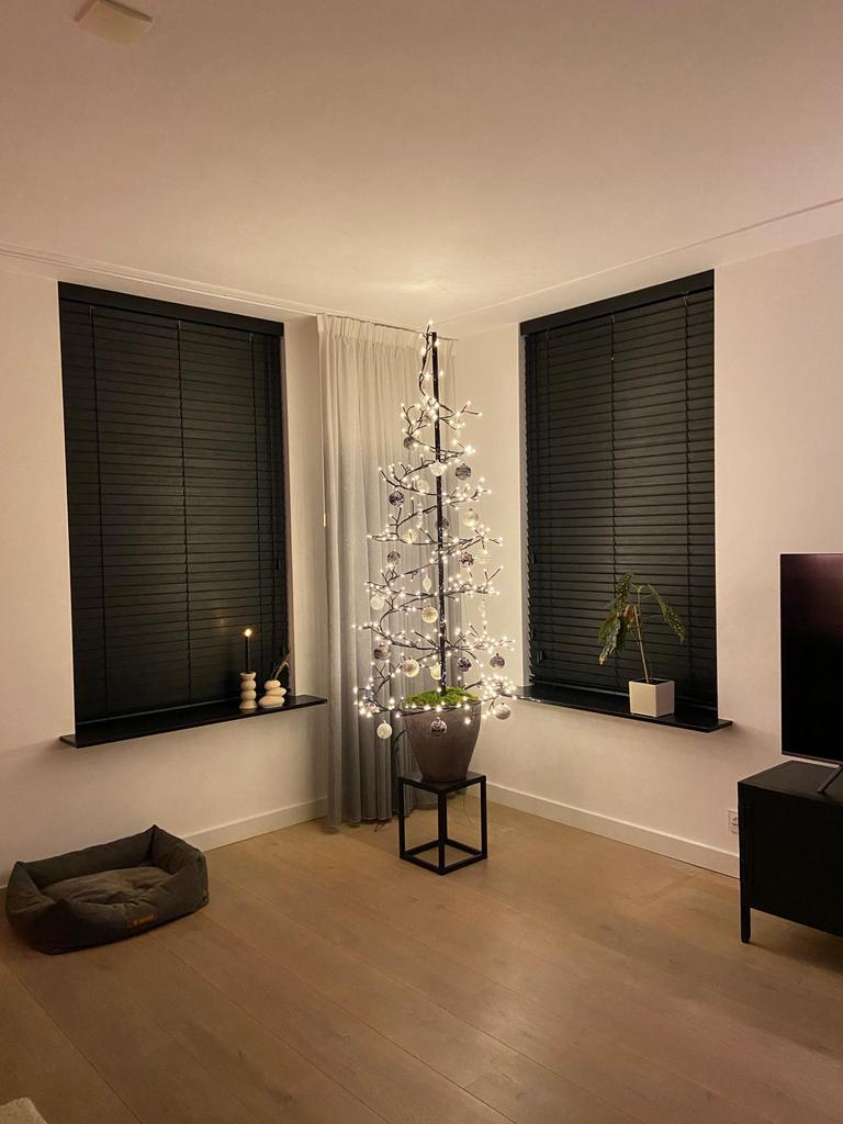 Kerstboom met ballen, Ophalen of Verzenden