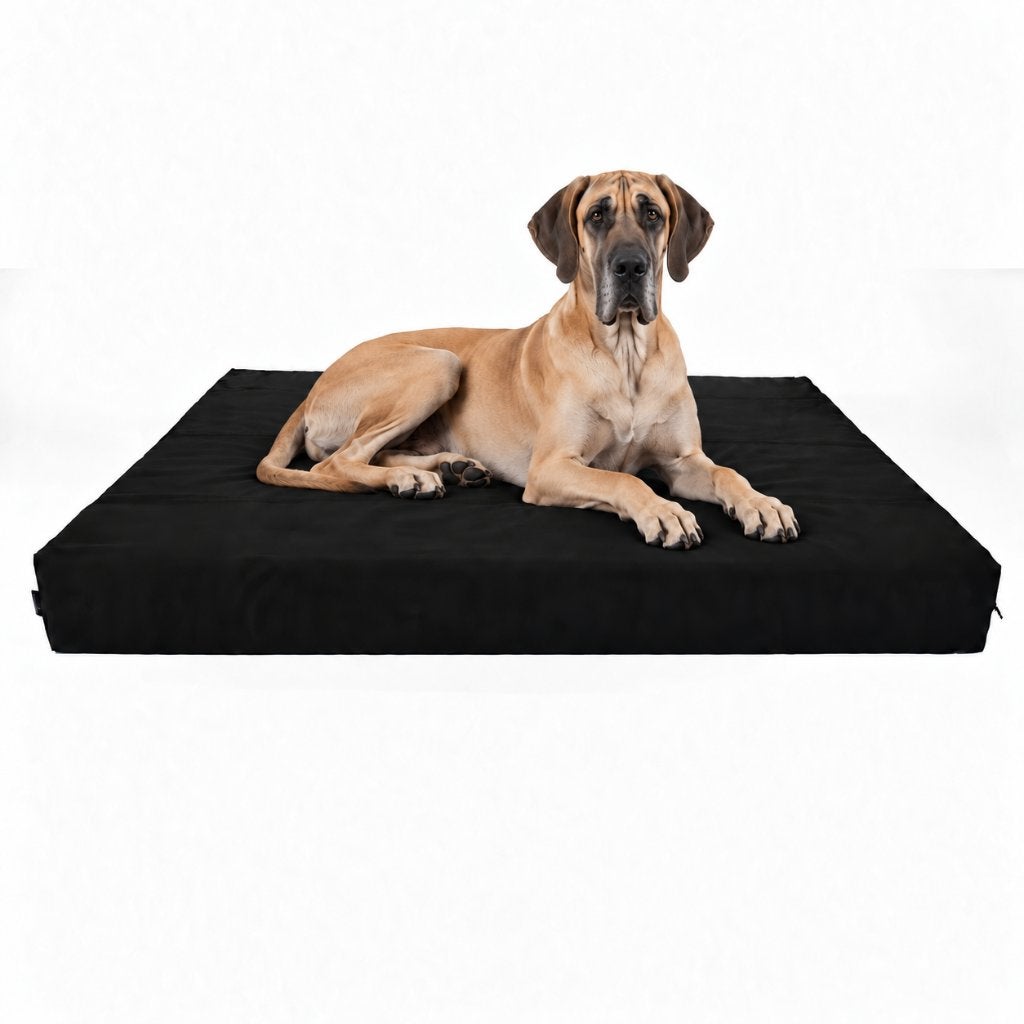 XXL orthopedische hondenmand - Deense Dog, Berner Sennen, Dieren en Toebehoren, Verzenden, Nieuw, Polyester