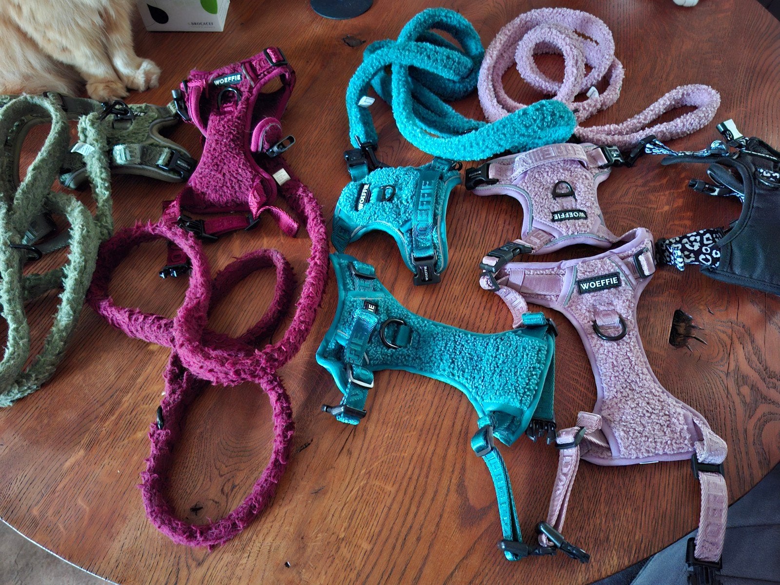 woeffie tuigje tuigjes hondentuig., Dieren en Toebehoren, Honden-accessoires, Ophalen of Verzenden, Zo goed als nieuw
