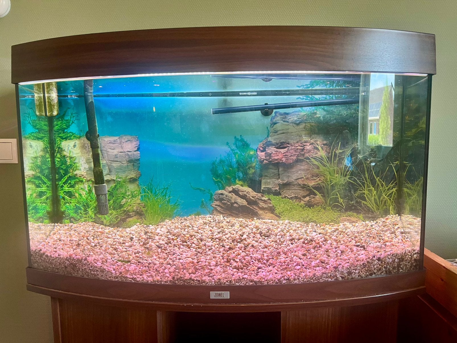 Juwel aquarium 180 vision compleet, Dieren en Toebehoren, Vissen | Aquaria en Toebehoren, Ophalen, Leeg aquarium, Juwel, Gebruikt