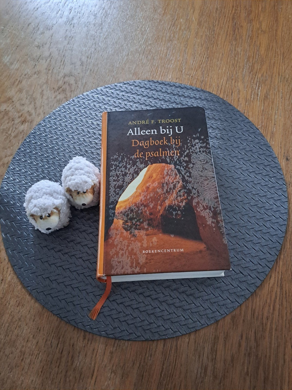 Alleen bij U: Dagboek bij de Psalmen - André F. Troost, Boeken, Ophalen of Verzenden
