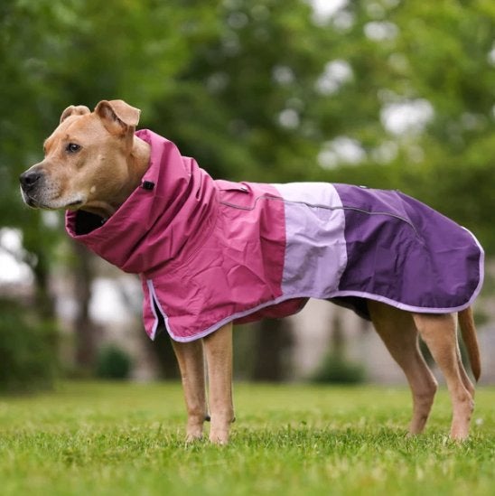 Originele Spark Paws honden regenjas, Dieren en Toebehoren, Hondenregenjas, Nieuw, Ophalen of Verzenden, Met capuchon