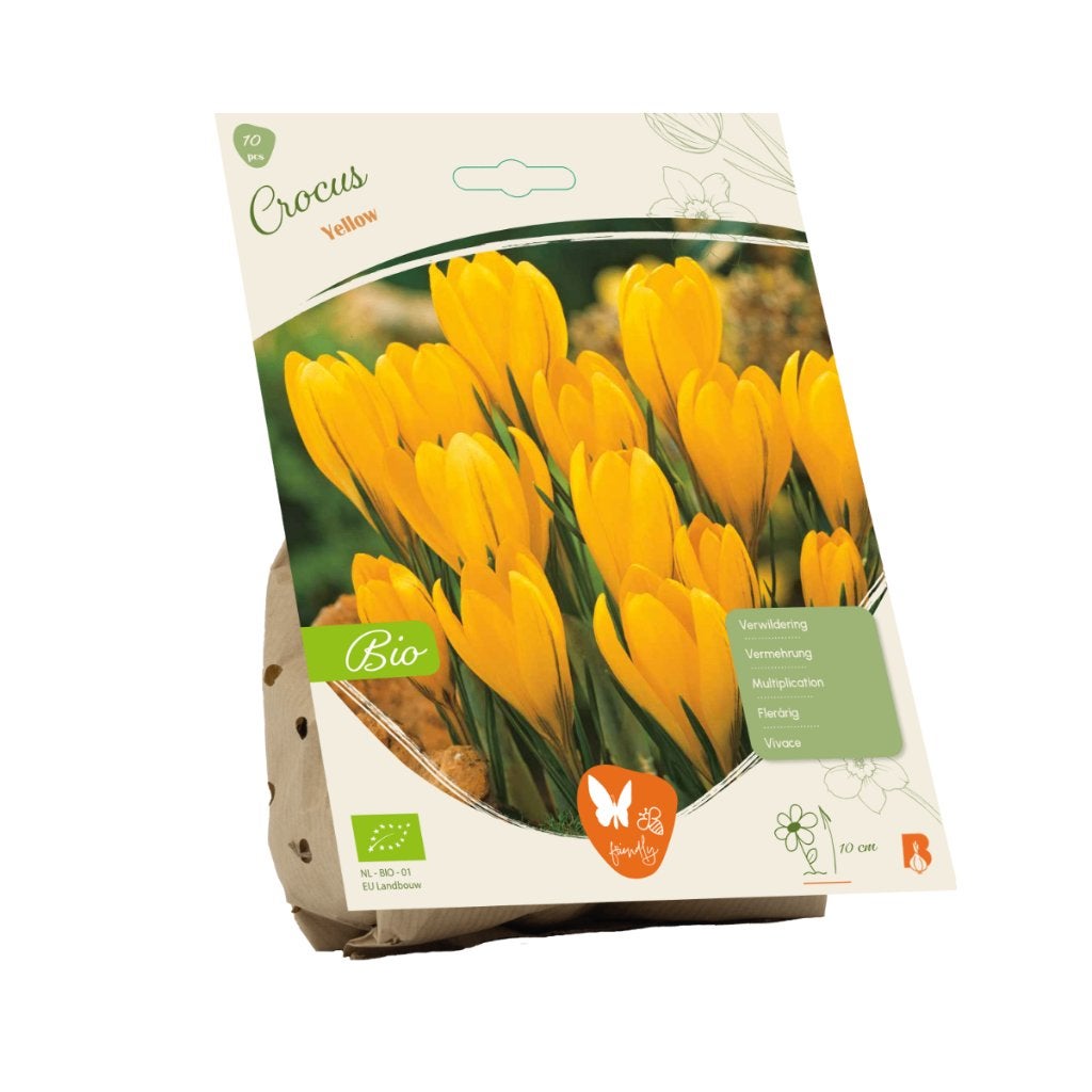 Geelbloeiende krokus, Tuin en Terras, Ophalen of Verzenden, Najaar, Volle zon, Bloembol