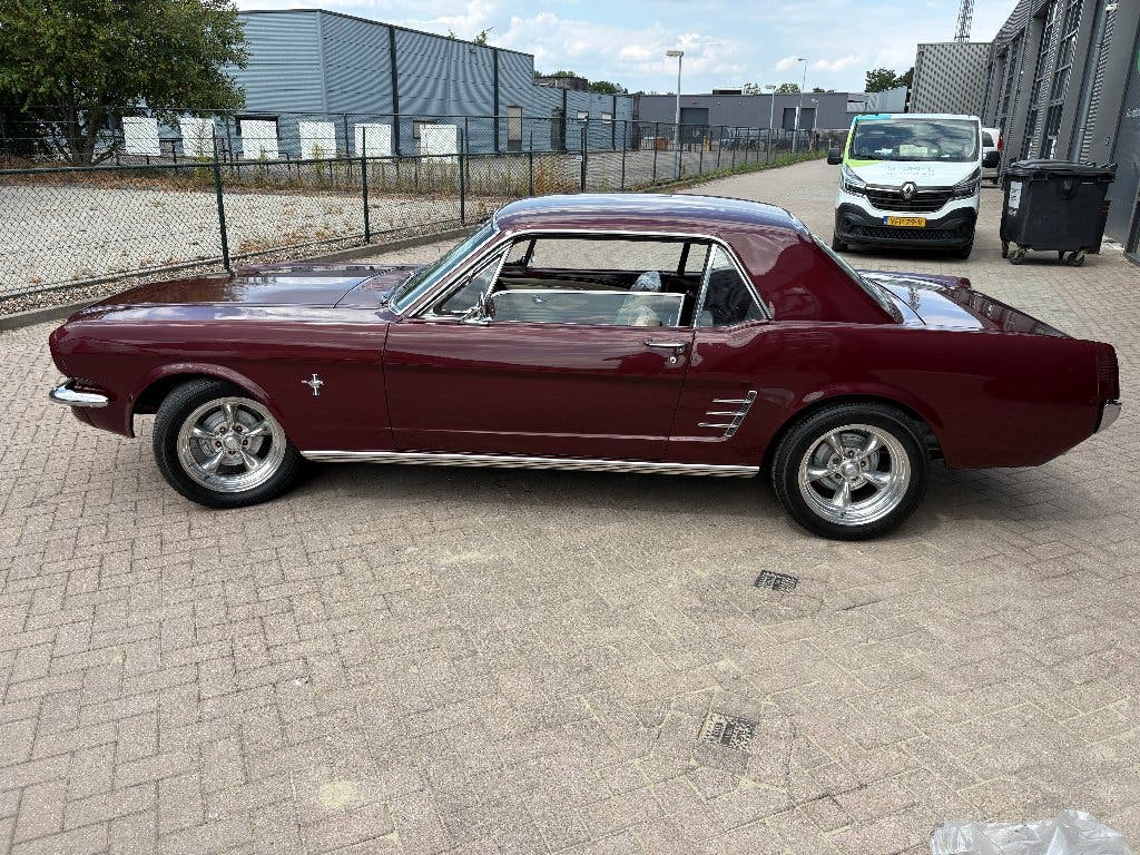 Diverse Ford Mustangs 65-69 met Nederlands kenteken, foto 5