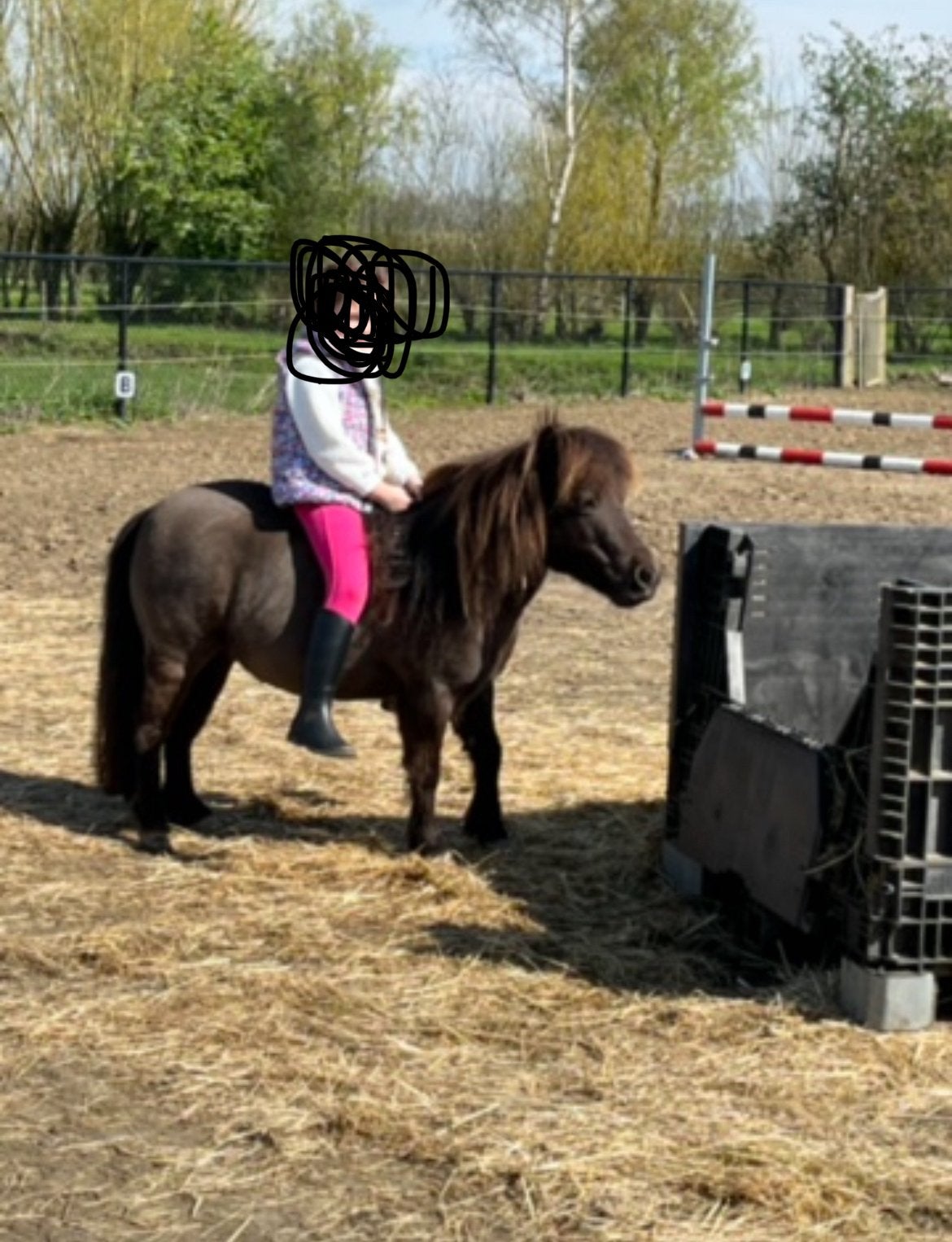 Lieve mini shetlander knuffelpony, A pony (tot 1.17m), 11 jaar of ouder, Recreatiepony, Merrie