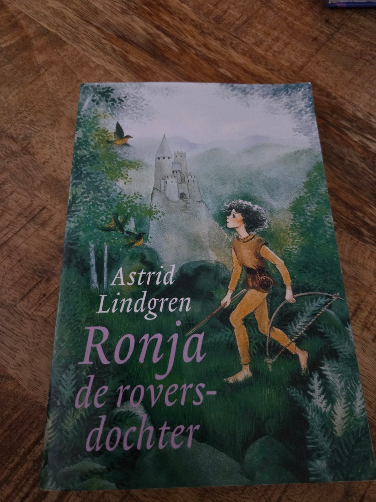 Astrid Lindgren Ronja de roversdochter, Boeken, Ophalen of Verzenden, Gelezen