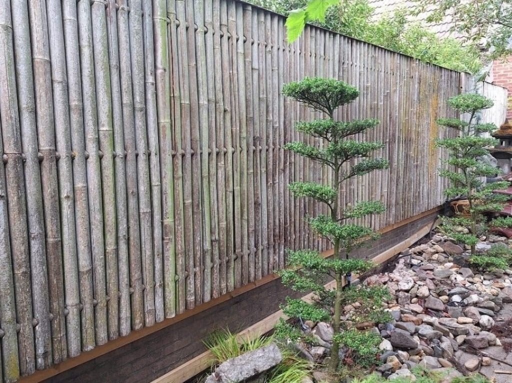 dikke bamboo schutting Japanse tuin met karakter oosterse, Ophalen, Overige materialen, 6 meter of meer, 1 tot 2 meter