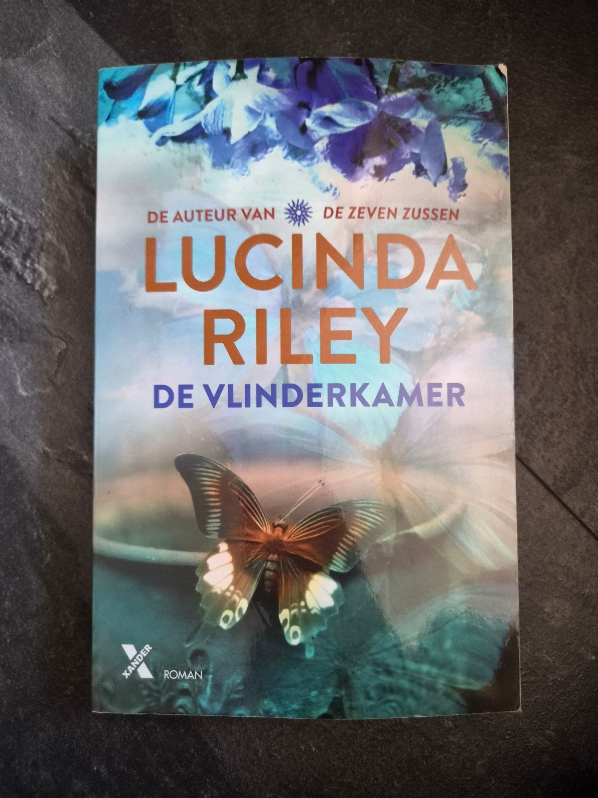 lucinda riley de vlinderkamer, Boeken, Romans, Ophalen of Verzenden, Zo goed als nieuw