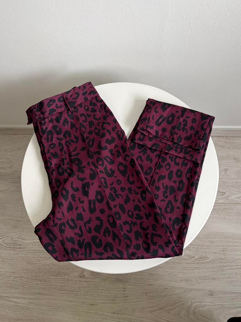 Ivivi pantalon met panterprint NIEUW, Nieuw, Ophalen of Verzenden, Maat 36 (S), Lang