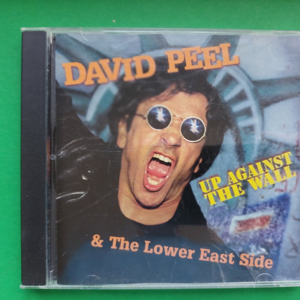 DAVID PEEL & THE LOWER EAST SIDE - UP AGAINST THE WALL, Ophalen of Verzenden, Zo goed als nieuw, Poprock, Album