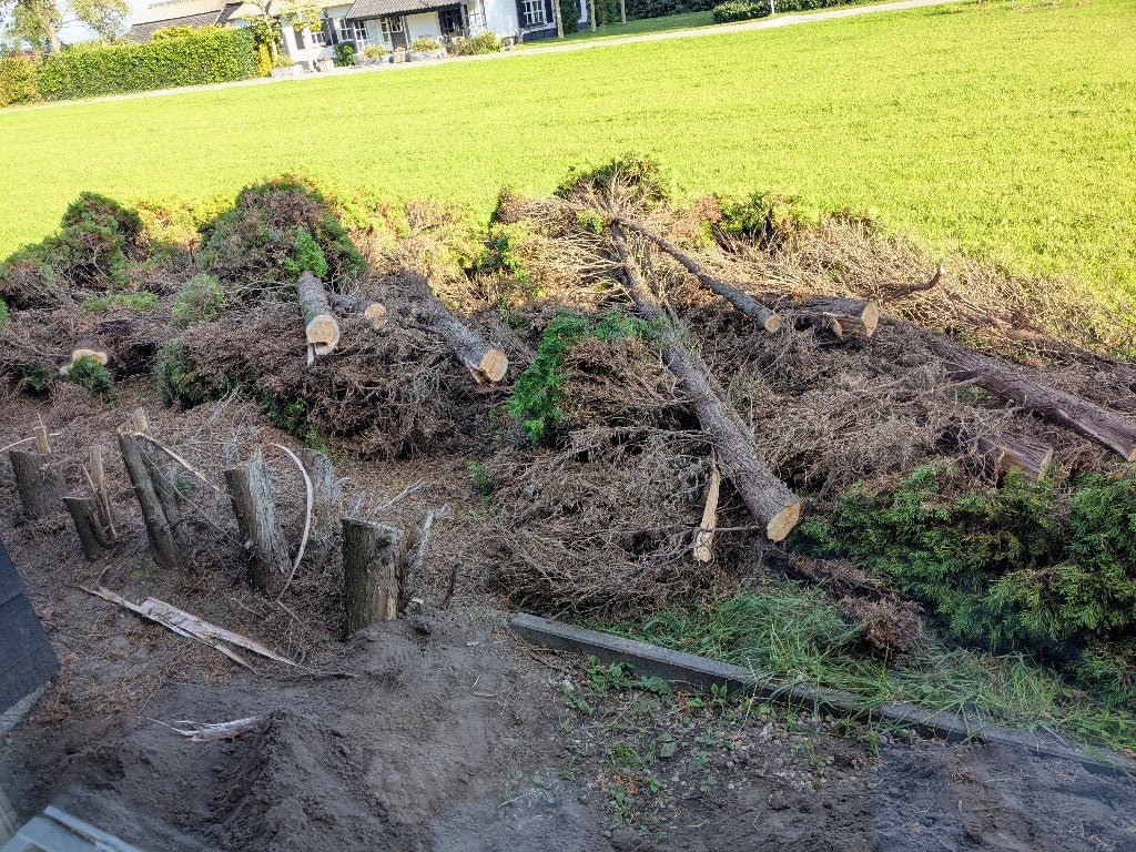 GRATIS coniferen voor snippers, decoratie, haard, kampvuur, Tuin en Terras, 3 tot 6 m³, Ophalen, Overige houtsoorten, Stammen