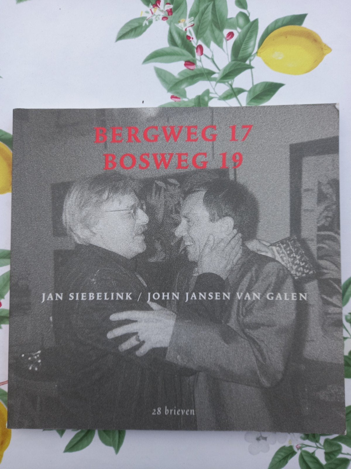 M10 Bergweg 17 Bosweg 19 -Jan Siebelink  John Jansen v Galen, Ophalen of Verzenden, Gelezen, Jan Siebelink, John Jansen van Galen