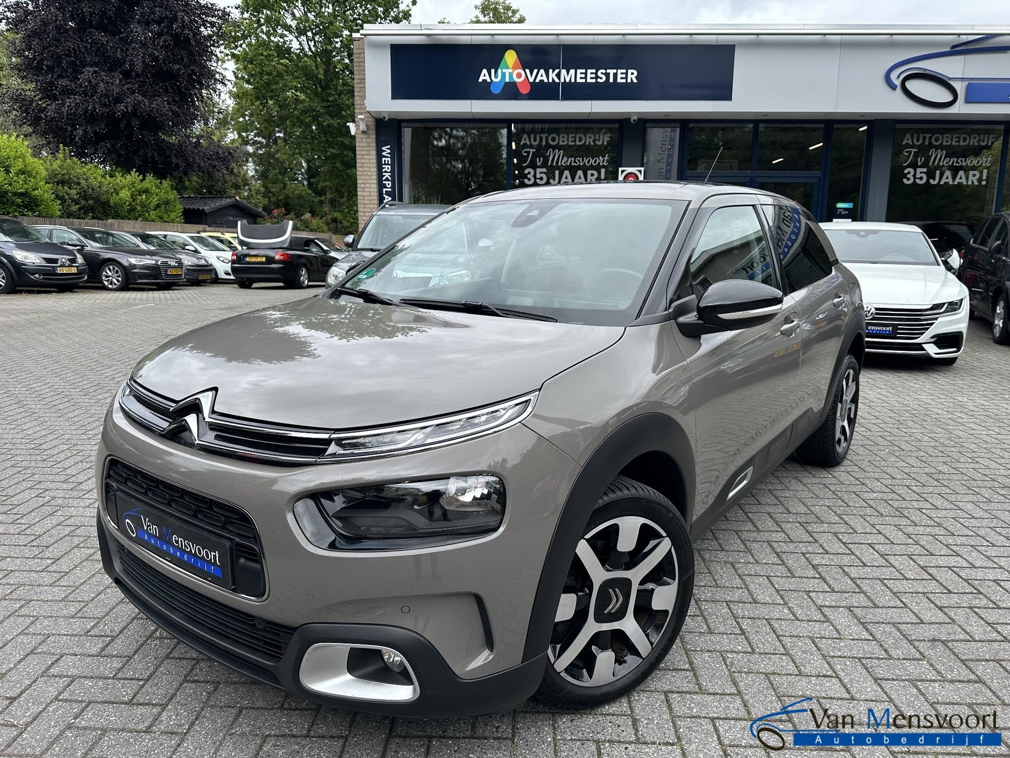 Citroen C4 Cactus 1.2 PureTech 130PK Shine Panorama|Navi|Cam, Voorwielaandrijving, Stof, Gebruikt, Euro 6