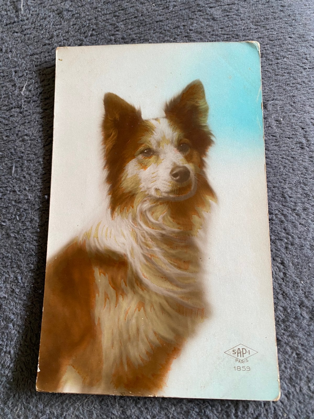 1928. Oude kaart van een Border Collie., Verzamelen, Ophalen of Verzenden, 1920 tot 1940, Gelopen