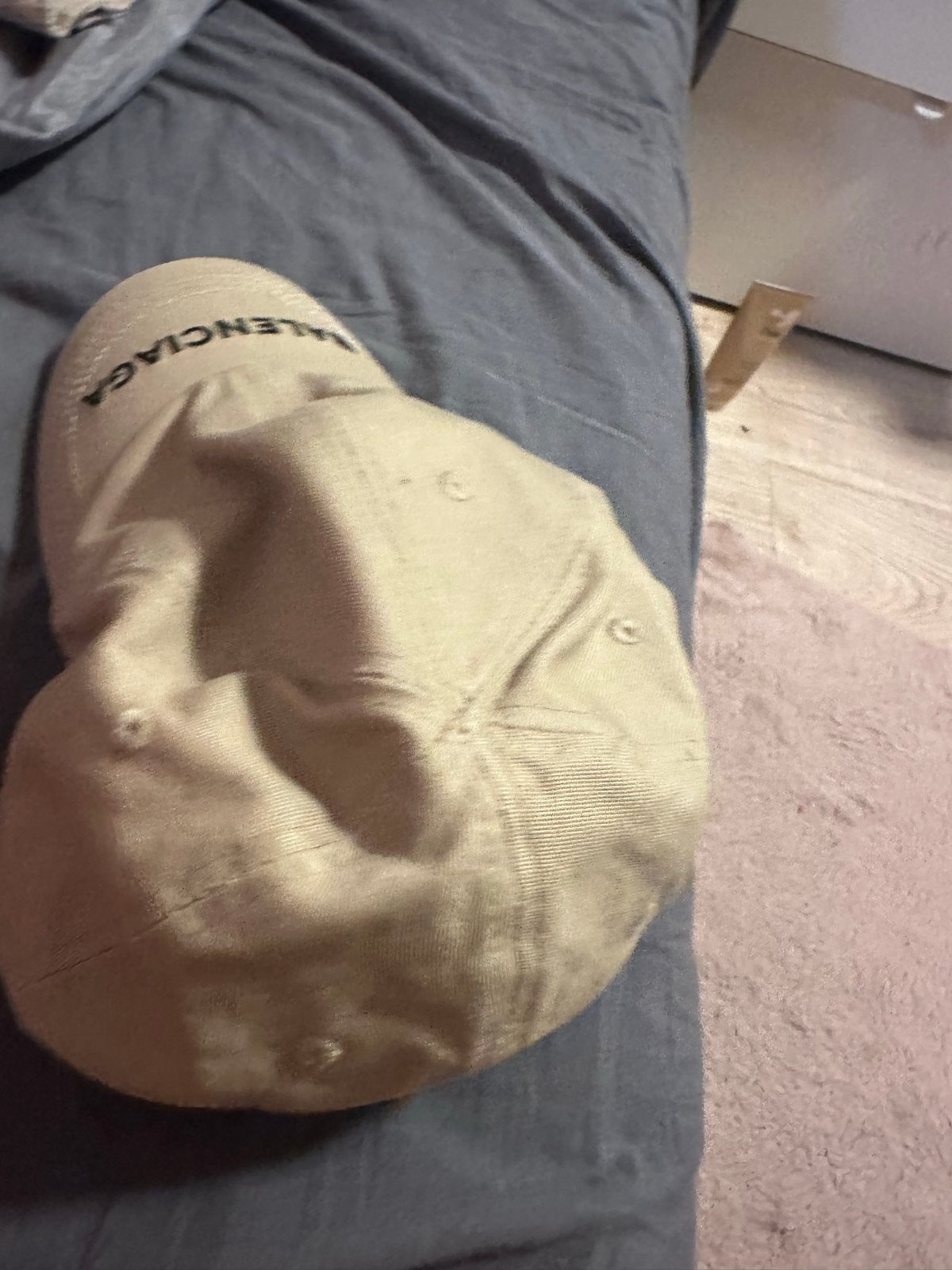 Balenciaga pet beige, Ophalen of Verzenden, Gedragen, One size fits all, Pet