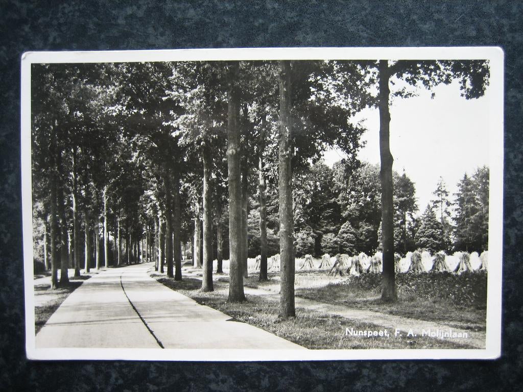 NUNSPEET  F.A. Molijnstraat met korenschoven, Ophalen of Verzenden, 1960 tot 1980, Gelderland