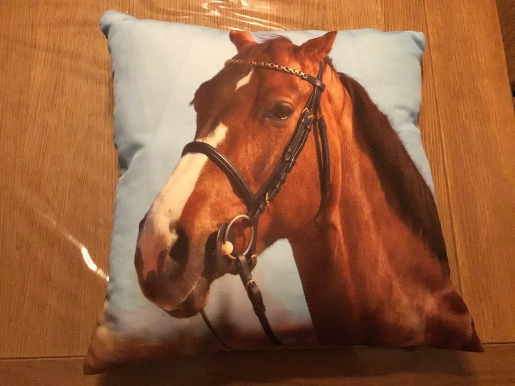 Kussen paard kinderkamer, Kinderen en Baby's, Ophalen of Verzenden, Zo goed als nieuw, Kleed of Kussen