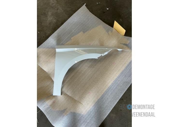 Scherm rechts-voor van een Seat Ibiza (LS9R), -, -, Nieuw, Ophalen of Verzenden