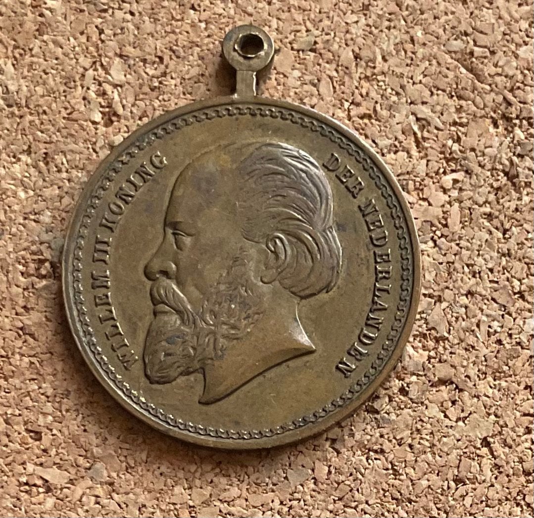 Penning Hanger Medaille - Willem III Koning der Nederlanden, Ophalen of Verzenden, Overige materialen, Nederland