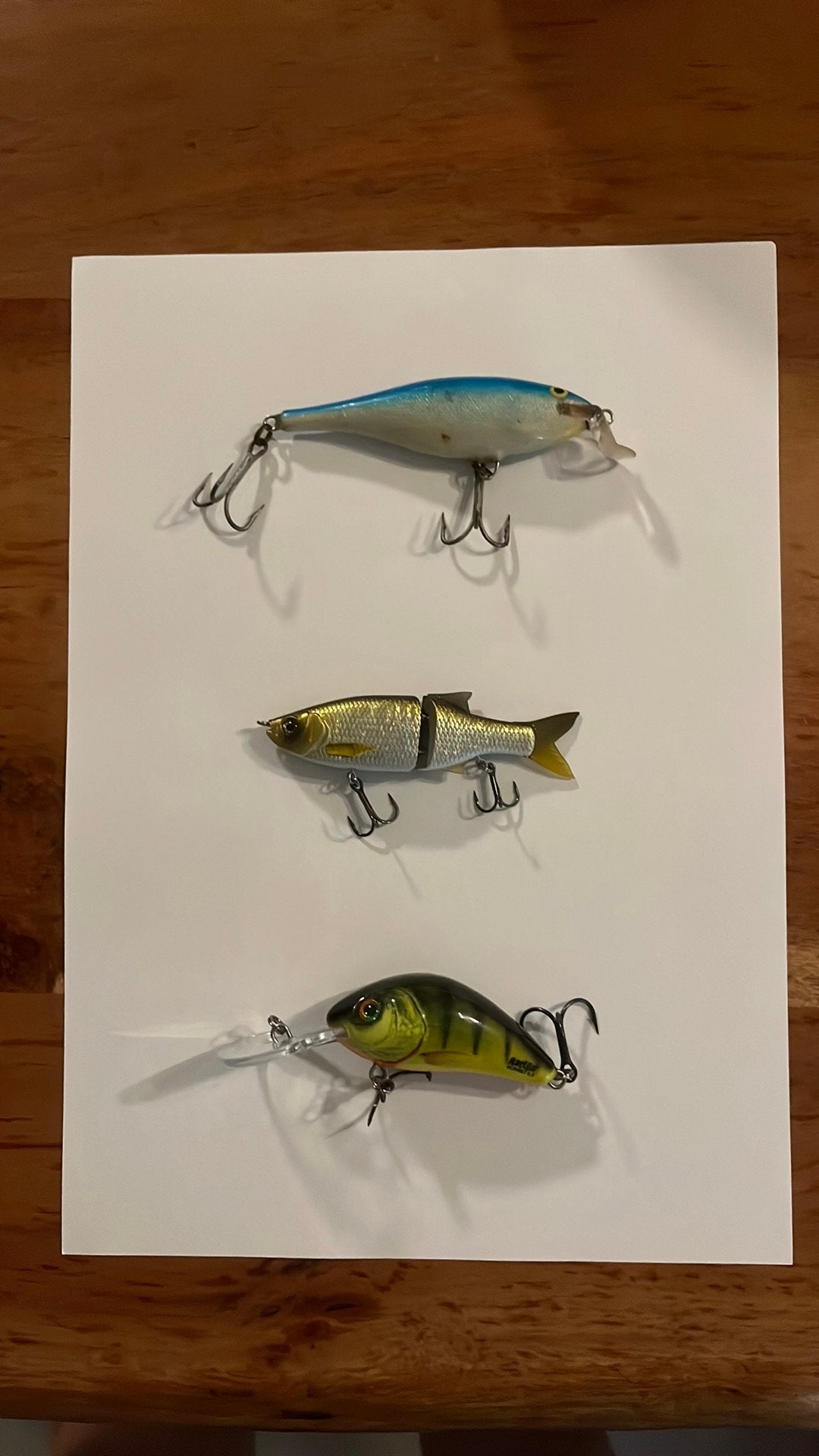Rapala, Salmo hornet, Molix, Verzenden, Zo goed als nieuw, Overige typen