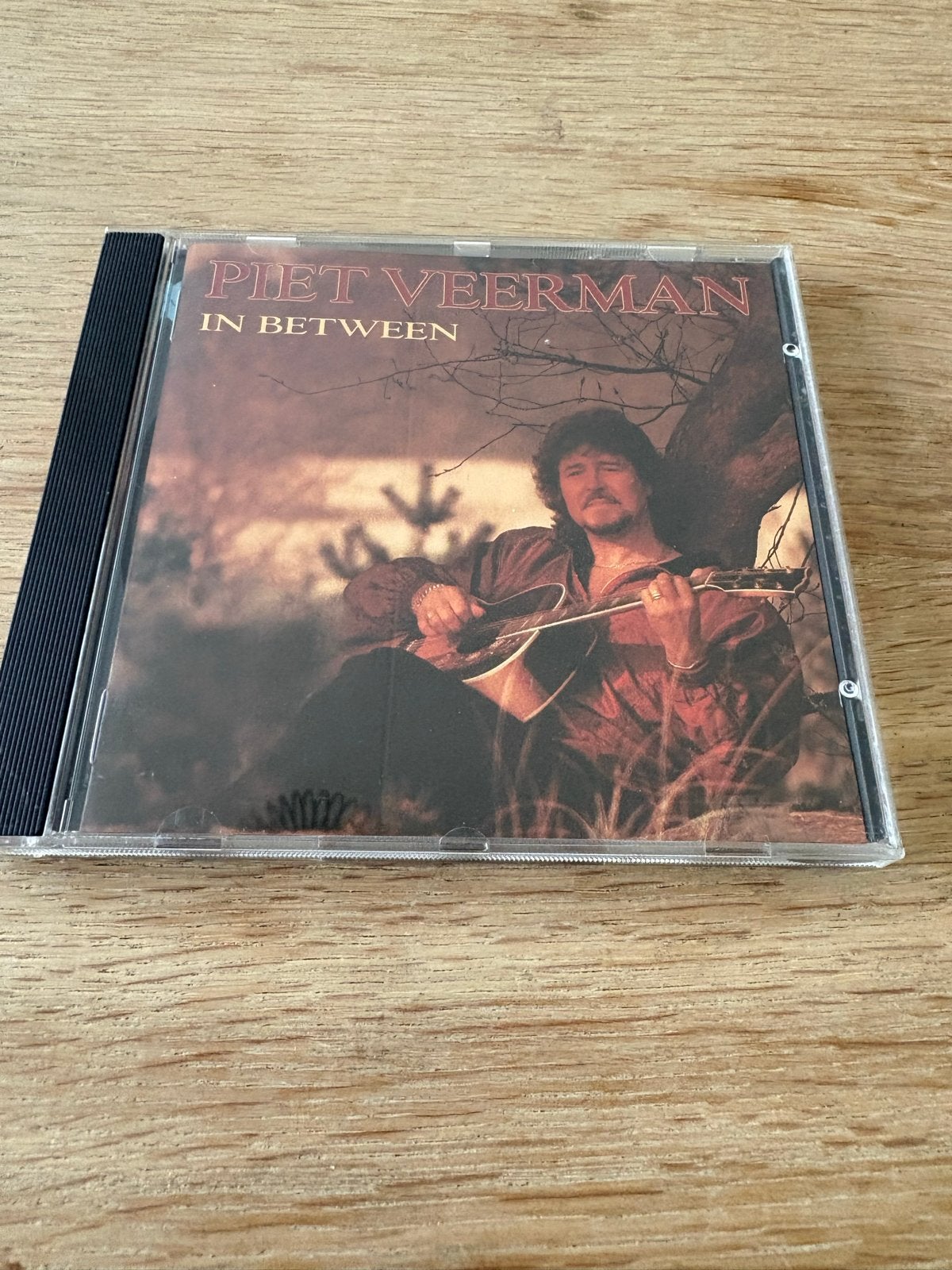 Piet Veerman In Between, Cd's en Dvd's, Ophalen of Verzenden, 1990 - 1999, Zo goed als nieuw