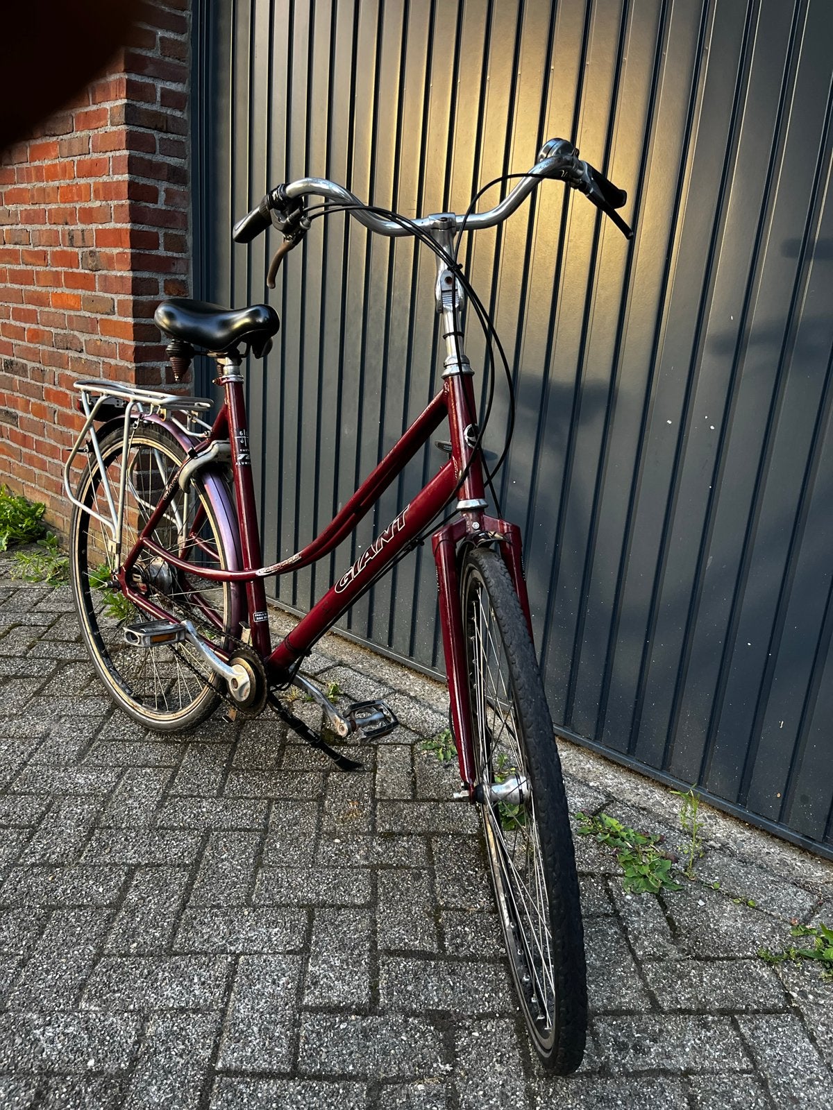 Giant fiets met 7 versnellingen, Ophalen, Velgrem, Versnellingen, Giant